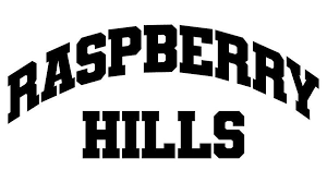 https://raspberyhills.com.co/