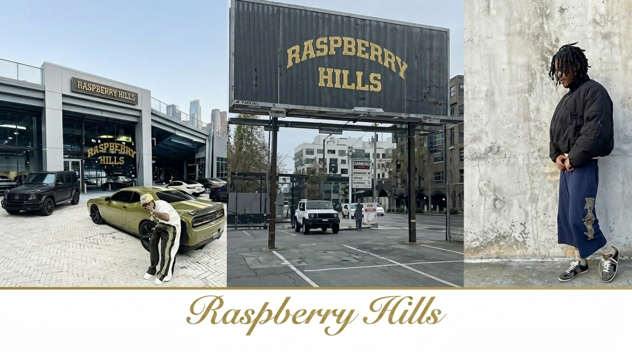 https://raspberyhills.com.co/